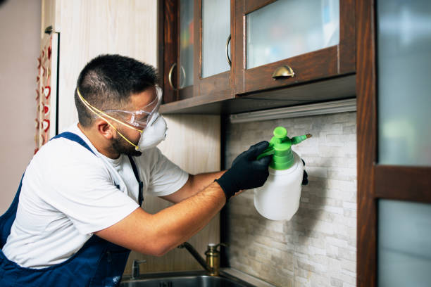 Professional Pest Control in Pine Island, TX