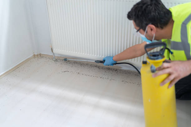 Best Exterminator Services  in Pine Island, TX